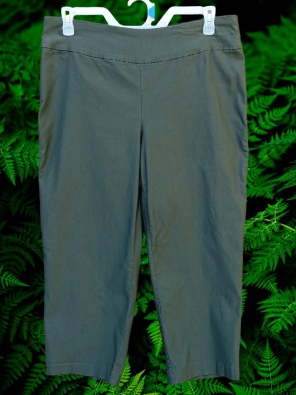 New Directions Womens Crop Millennium Style Pants Pull On Pants Green Size 16W